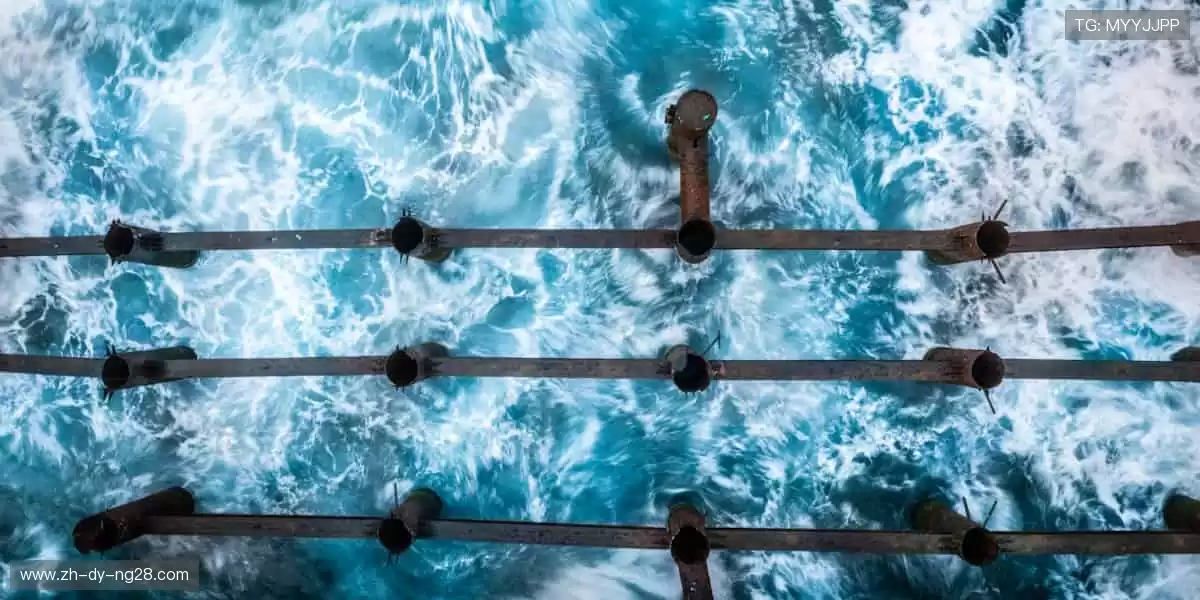 📱 一键订阅，赛事动态永不错过！📢